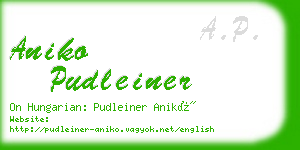 aniko pudleiner business card